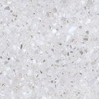 50x50 / Dexter White