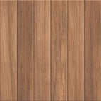 50x50 / Darwin Brown