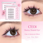 CE01
