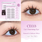 CE03