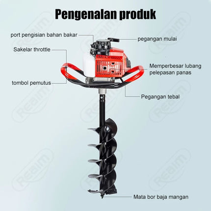 bor5