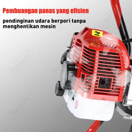 bor2