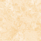 20x25 / Zara Brown
