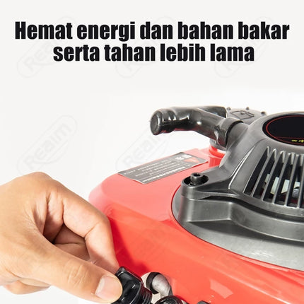 bor1