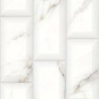 25x50 / Clifford Grey EMB