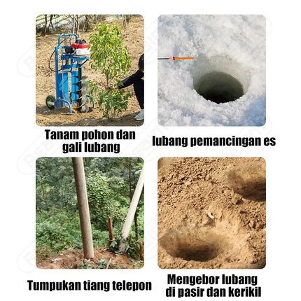 bor7